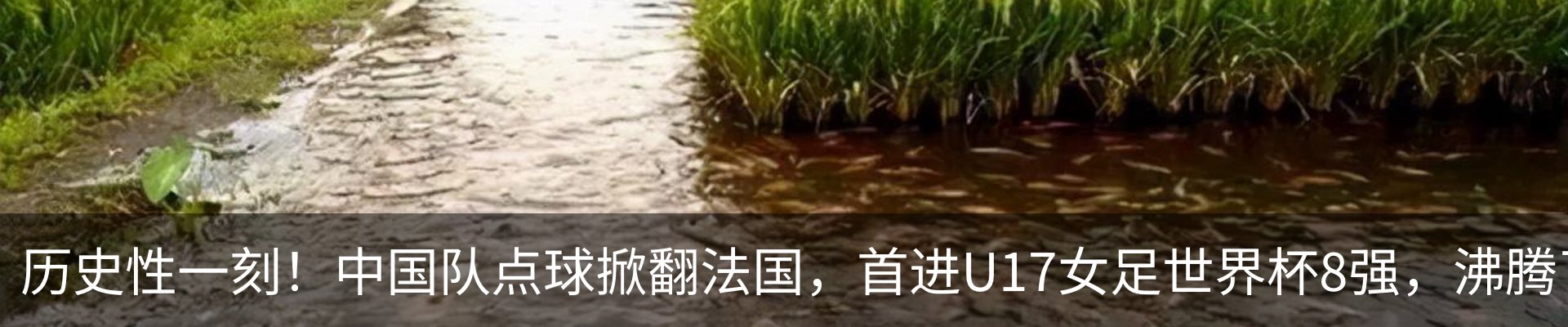 资讯中心